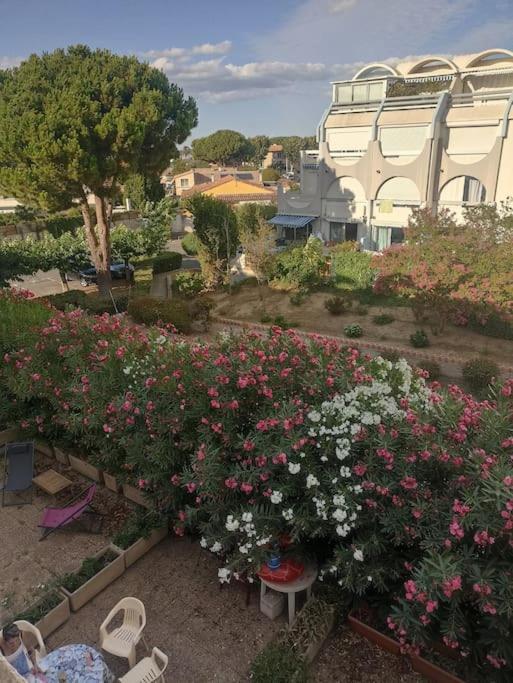 Appartement 2 Pieces + Cabine, 6 Couchages Le Grau-du-Roi Dış mekan fotoğraf