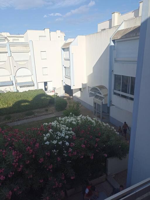 Appartement 2 Pieces + Cabine, 6 Couchages Le Grau-du-Roi Dış mekan fotoğraf